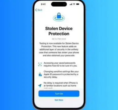 毛阳镇苹果授权维修店分享被盗设备保护功能开启方法 
