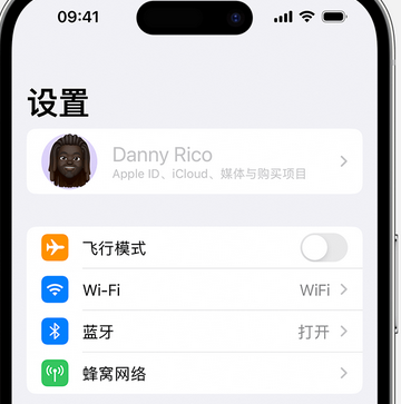 毛阳镇appleID维修服务iPhone设置中Apple ID显示为灰色无法使用