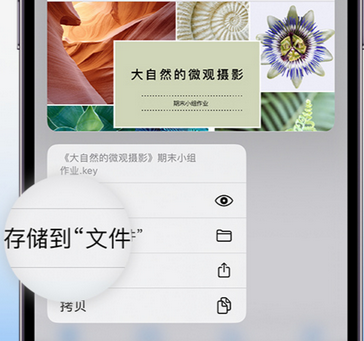 毛阳镇apple维修中心分享iPhone文件应用中存储和找到下载文件