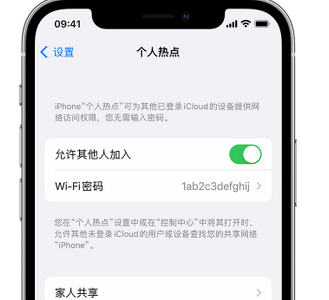 毛阳镇apple服务站点分享iPhone上个人热点丢失了怎么办 