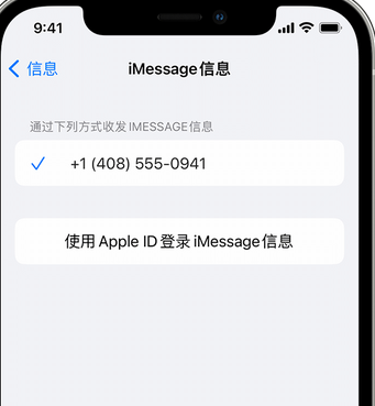 毛阳镇apple维修iPhone上无法正常发送iMessage信息 