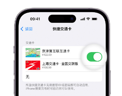 毛阳镇apple维修点分享iPhone上更换Apple Pay快捷交通卡手绘卡面 