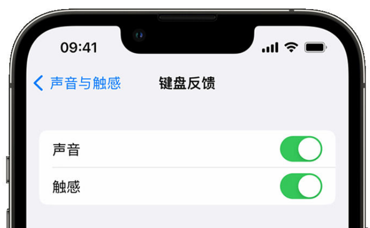 毛阳镇苹果手机维修分享iPhone 14触感键盘使用方法 