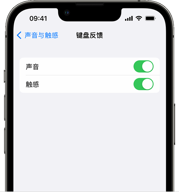 毛阳镇苹果14维修店分享如何在 iPhone 14 机型中使用触感键盘 