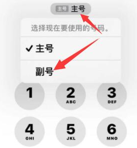 毛阳镇苹果14维修店分享iPhone 14 Pro Max使用副卡打电话的方法 