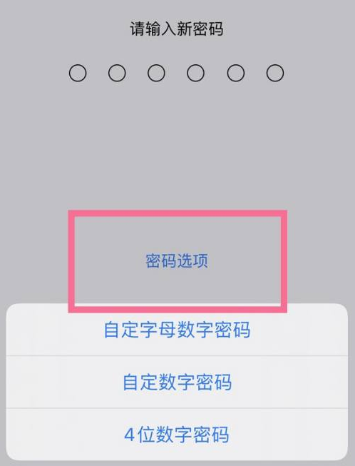 毛阳镇苹果14维修分享iPhone 14plus设置密码的方法 