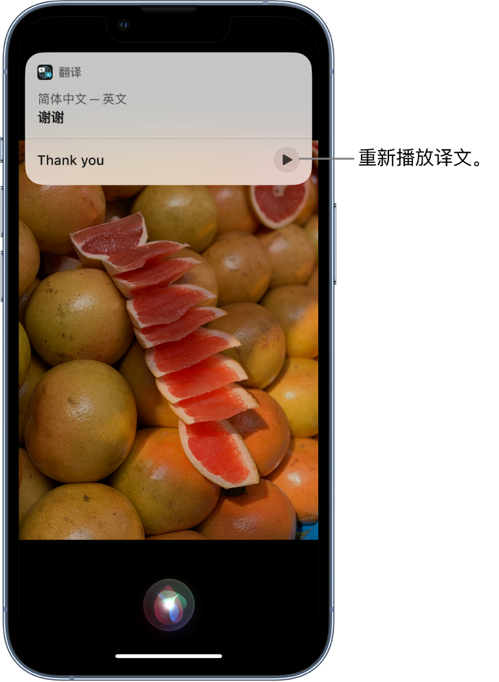 毛阳镇苹果14维修分享 iPhone 14 机型中使用 Siri：了解 Siri 能帮你做什么 