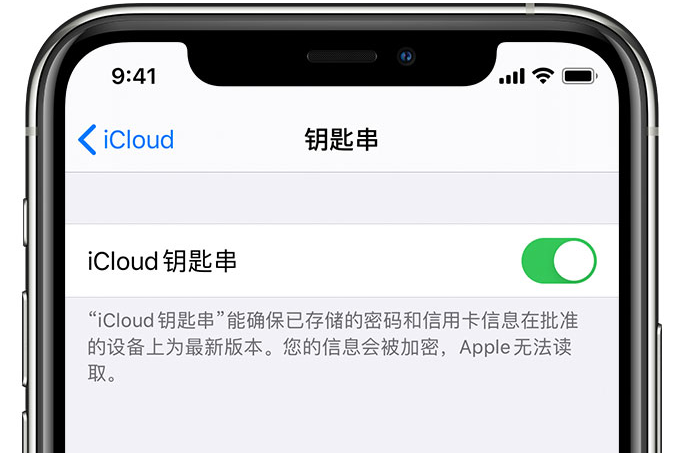 毛阳镇苹果手机维修分享在 iPhone 上开启 iCloud 钥匙串之后会储存哪些信息 