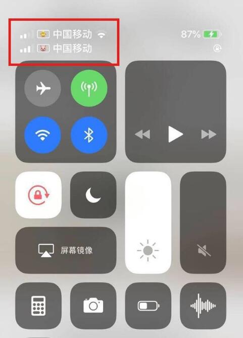 毛阳镇苹果手机维修分享为 iPhone 12 双卡设置标签 