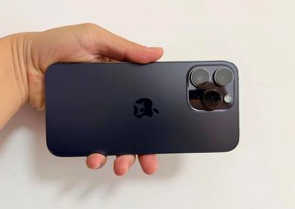 毛阳镇苹果维修点分享iPhone 14 Pro Max黑屏少见故障盘点 